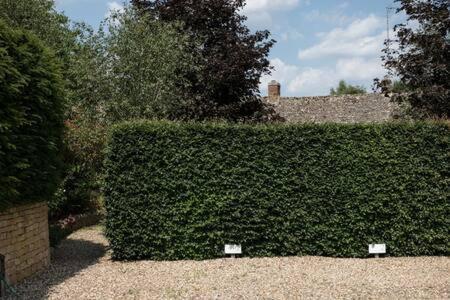 Two Rose Walk Cottage Cotswolds Moreton-in-Marsh Dış mekan fotoğraf