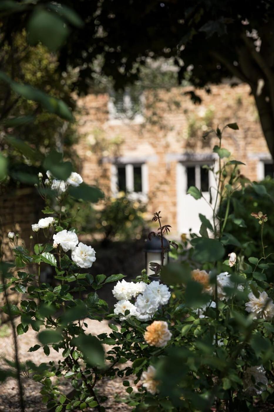 Two Rose Walk Cottage Cotswolds Moreton-in-Marsh Dış mekan fotoğraf